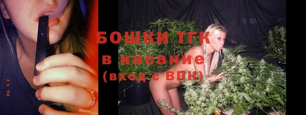 сатива Армянск