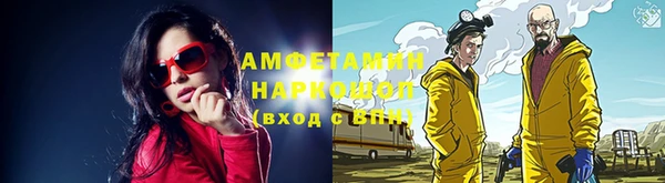 сатива Армянск