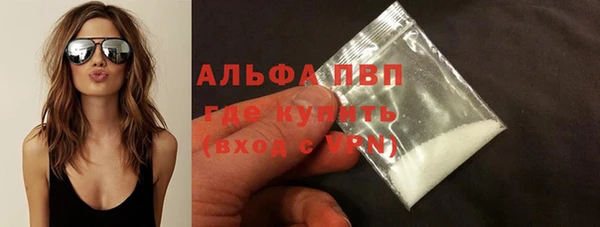 стафф Арсеньев