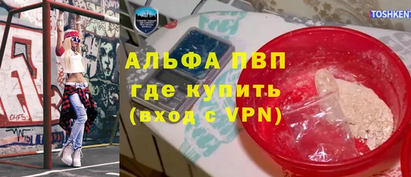 стафф Арсеньев