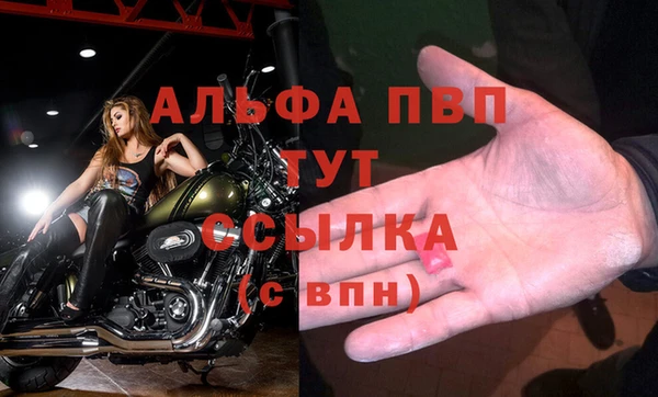 сатива Армянск