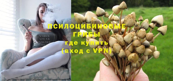 стафф Арсеньев