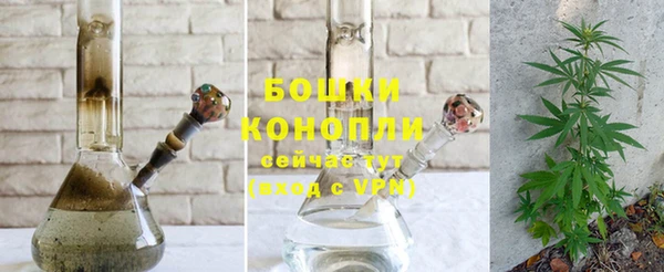 ешки Аркадак