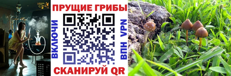 наркота гидра зеркало Галлюциногенные грибы GOLDEN TEACHER Ревда